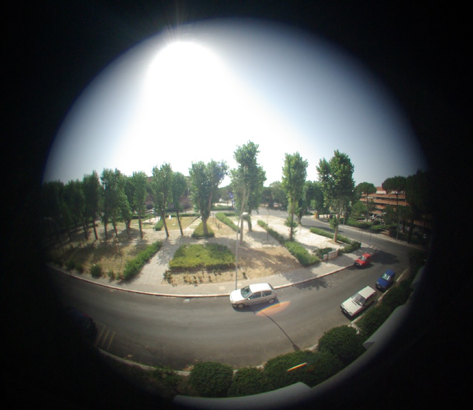 IMGP0607.jpg2.jpg