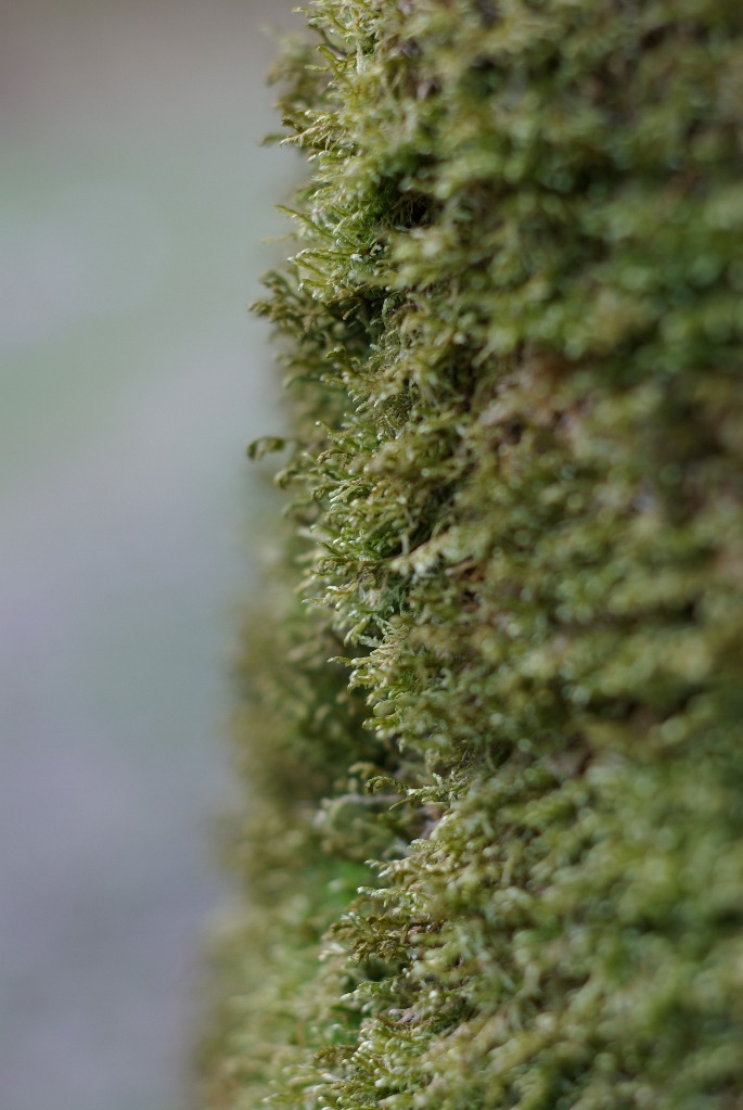 Imgp0922.jpg