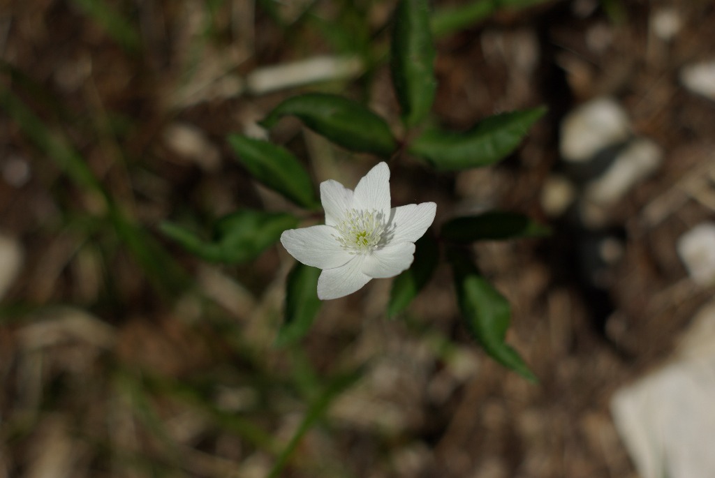 Imgp1120.jpg