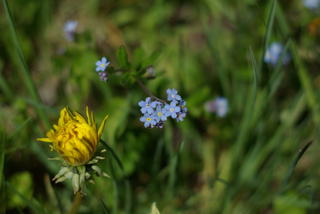 Imgp1121.jpg