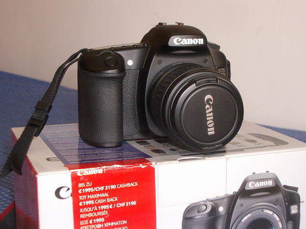 IMGP1294.jpg