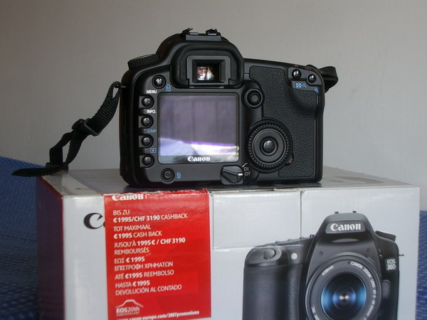 IMGP1299.jpg
