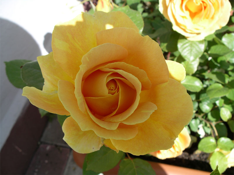 imgp1359.jpg