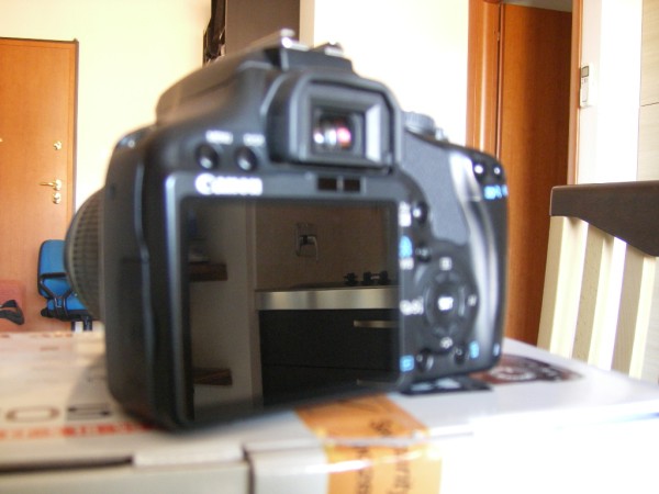 IMGP2546.jpg