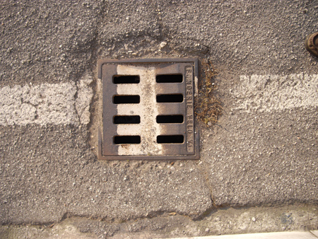 IMGP4467.jpg