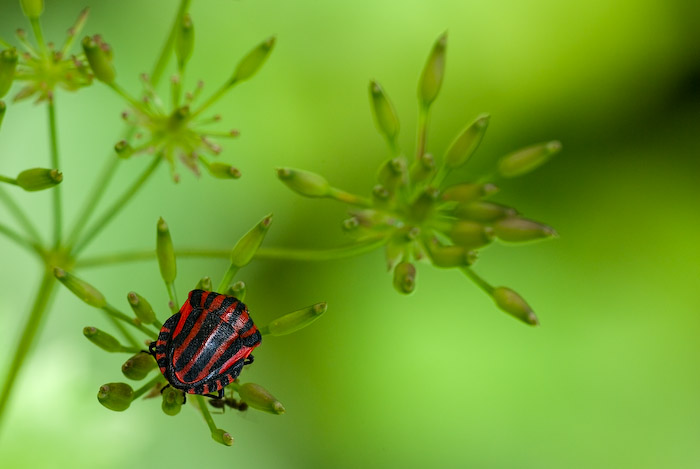 IMGP4975-Edit-2.jpg