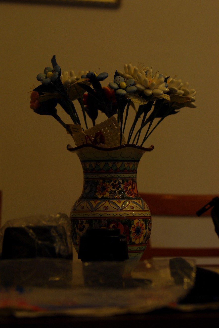 IMGP5186.jpg
