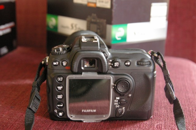 IMGP6011.JPG