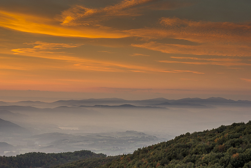 IMGP7418-2.jpg