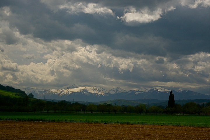 IMGP8939.jpg