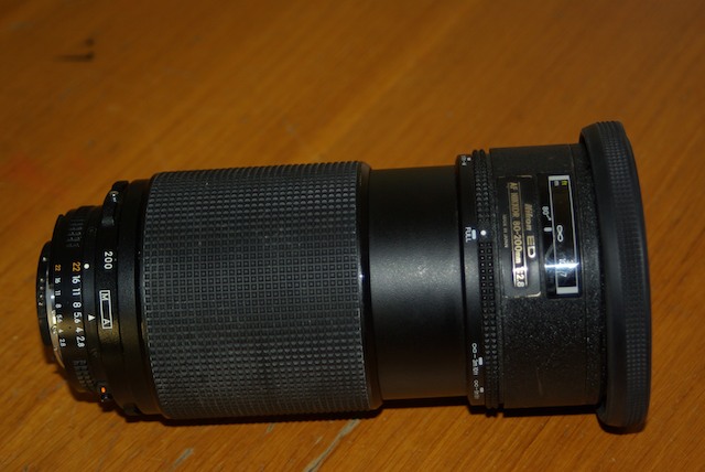 IMGP9318.jpg
