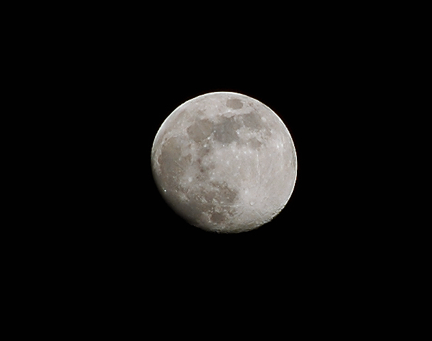 imm 018.jpg