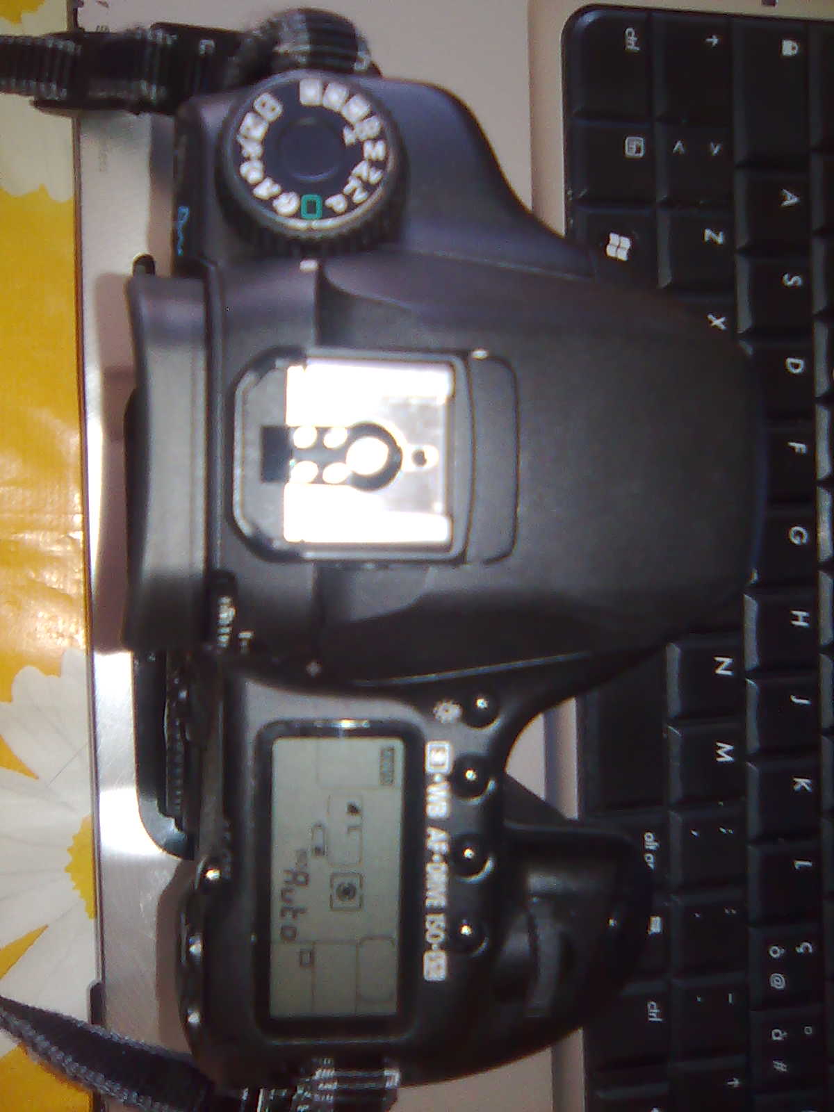 Immag003.jpg