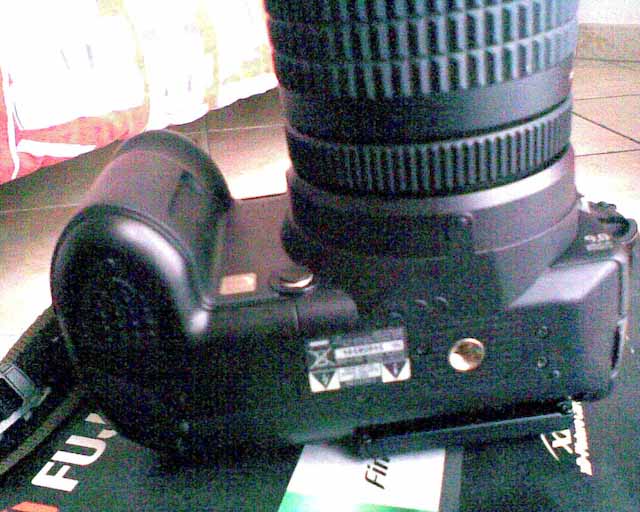 Immag044.jpg