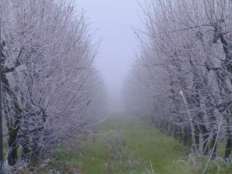 Immagine-005.jpg