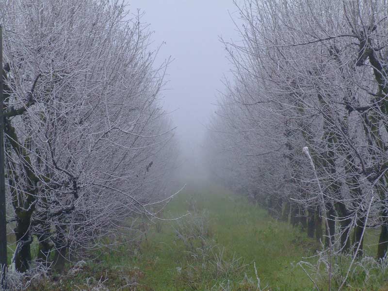 Immagine-006.jpg