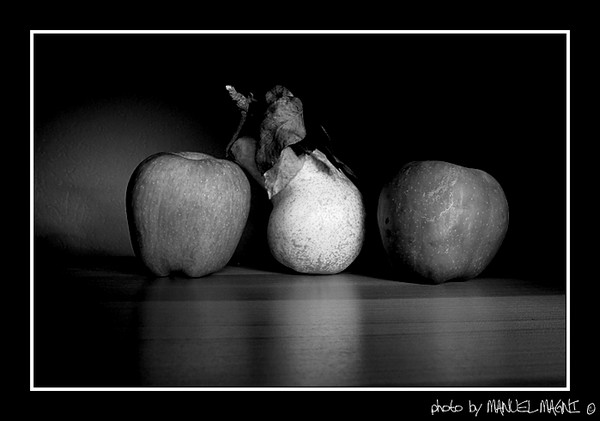Immagine-022bw2.jpg