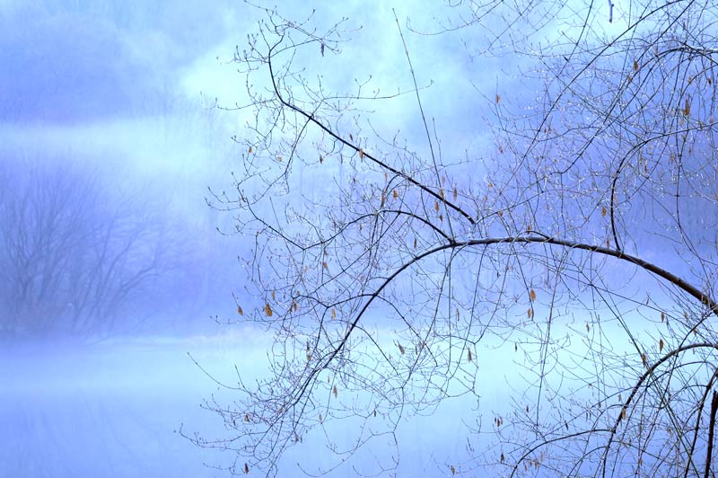 Immagine-031.jpg