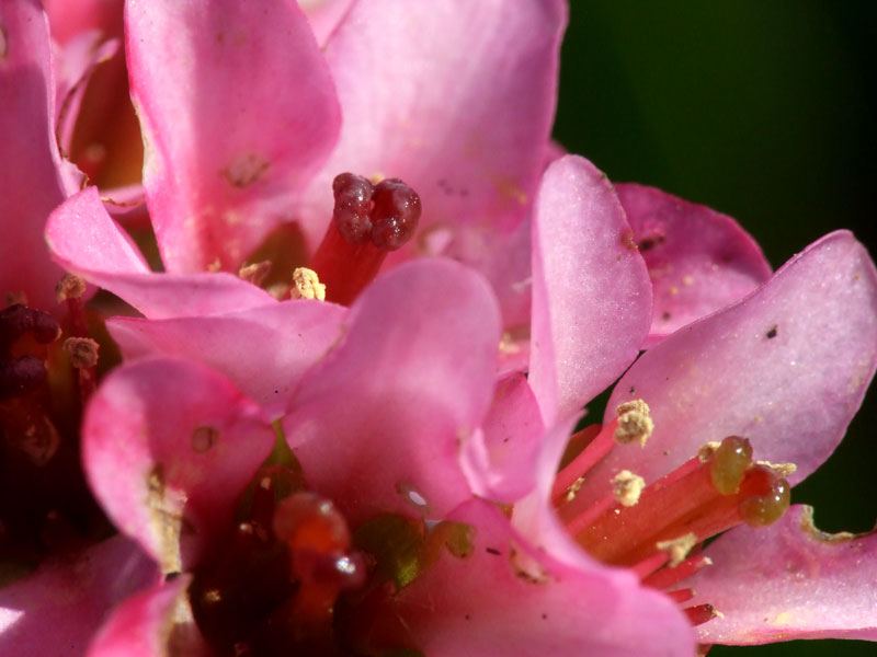 Immagine-039.jpg