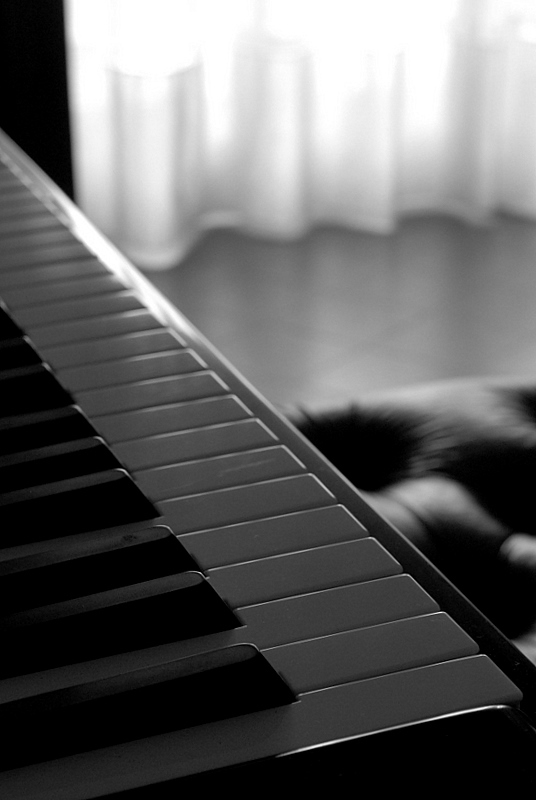 Immagine-039.jpg