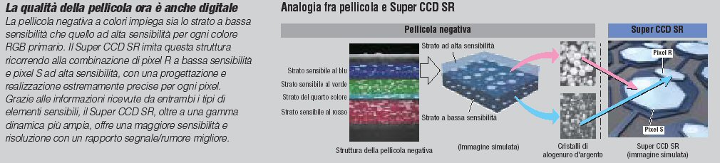 Immagine1.jpg