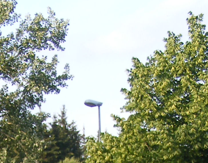Immagine2.jpg