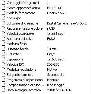 Immagine2.JPG