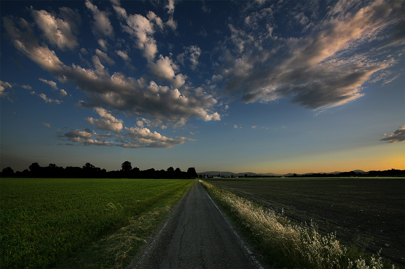 Immagine378cWEB.jpg