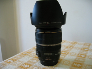 Immagine_002.jpg