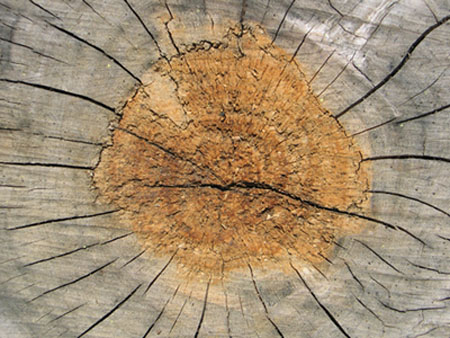 Immagine 003.jpg