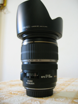 Immagine_004.jpg