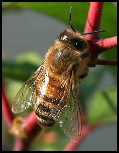 Immagine 005 copia.jpg