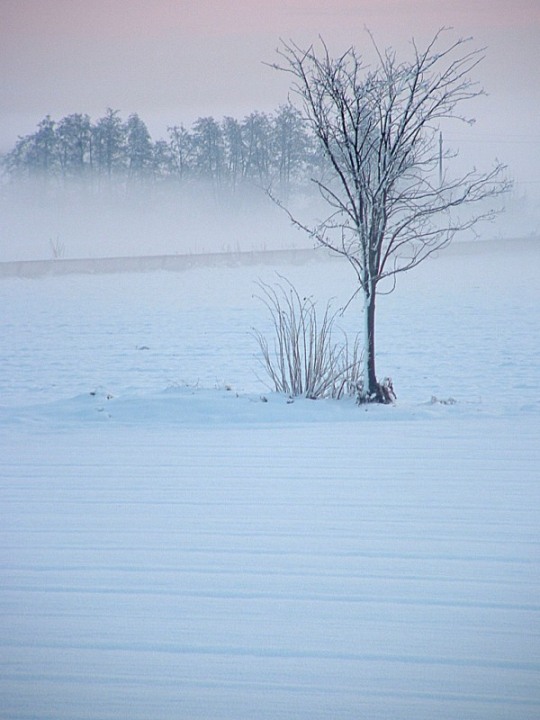 Immagine 0071024768.jpg