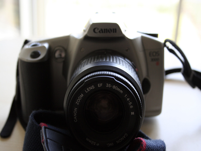 immagine_012_798.jpg