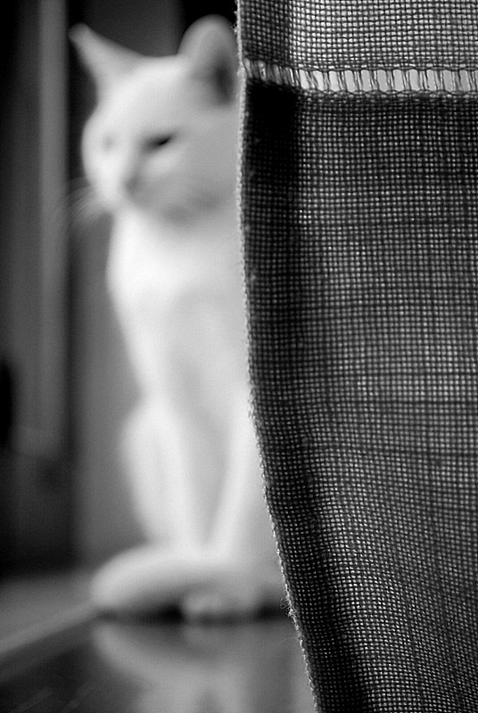Immagine 020-2.jpg