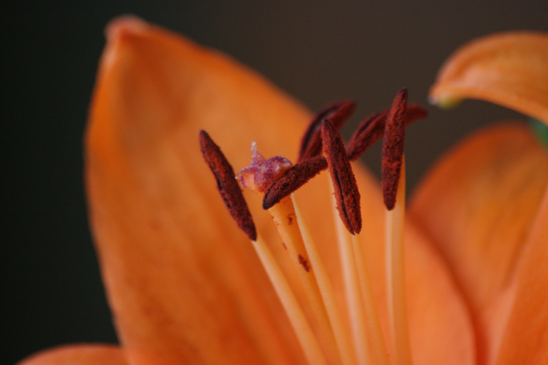 Immagine 020web.jpg
