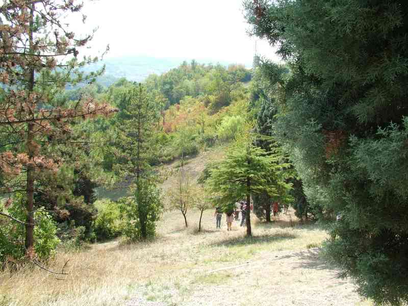 Immagine 024.jpg