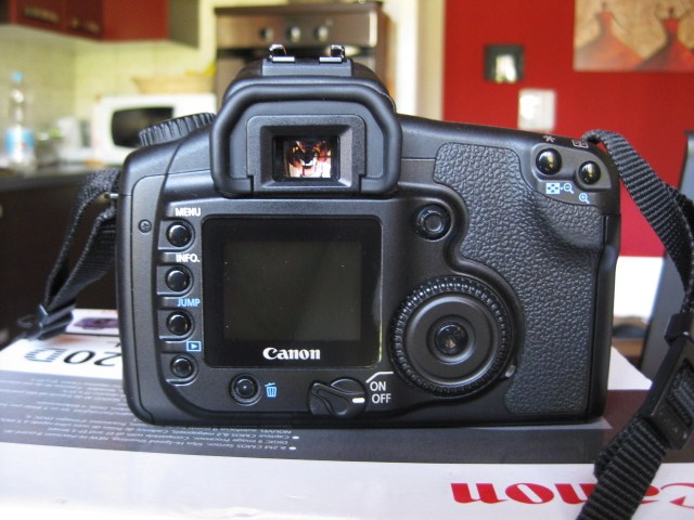 immagine_050_113.jpg