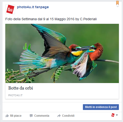 Immagine.png
