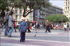 Immagine 12_241x159.shkl.png