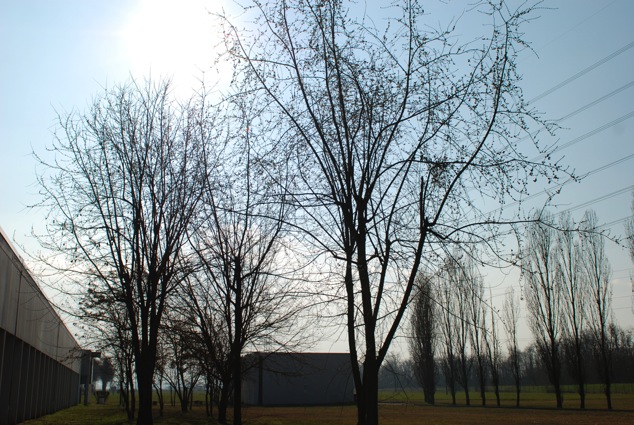 Immagine 1.jpg