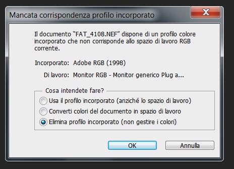 Immagine.jpg