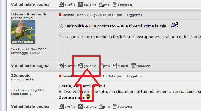 Immagine.png