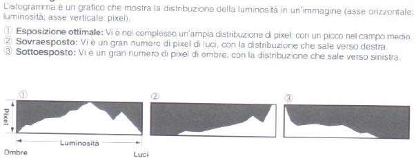 Immagine.JPG