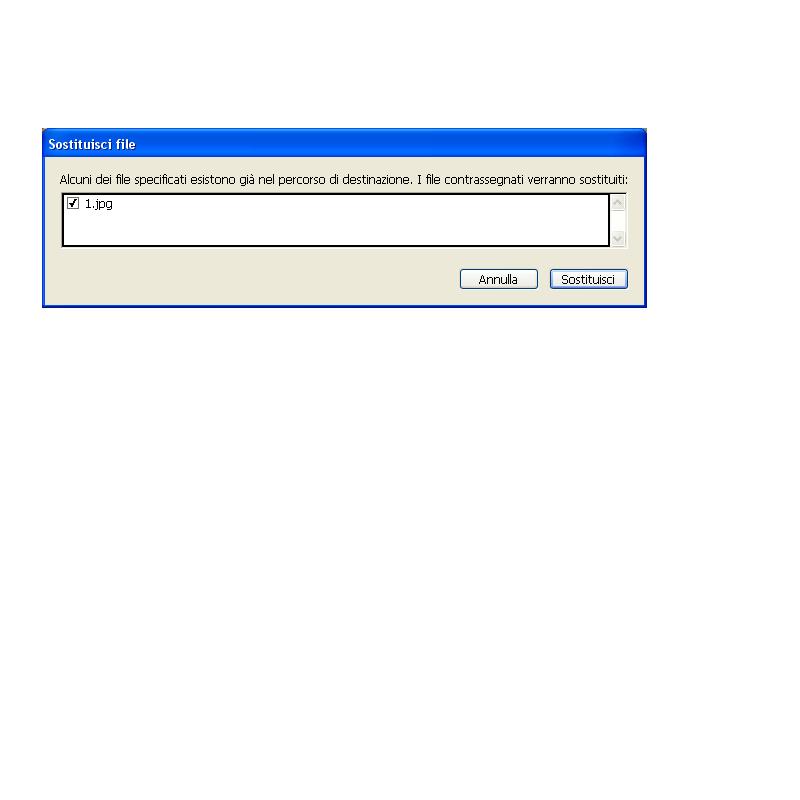 Immagine.JPG