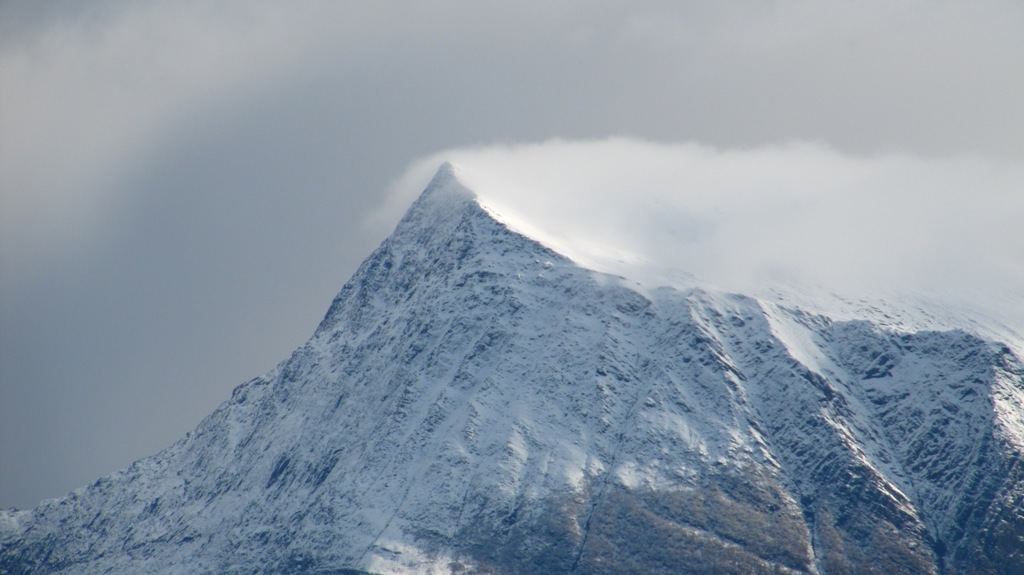 Immagine 345.jpg