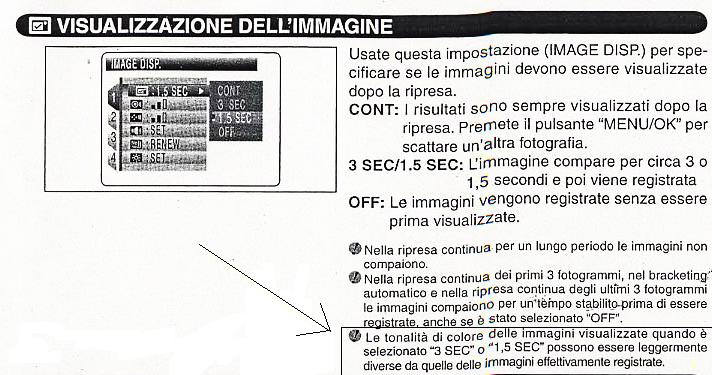 Immagine.JPG