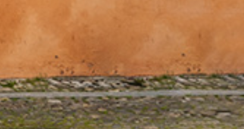 Immagine.png