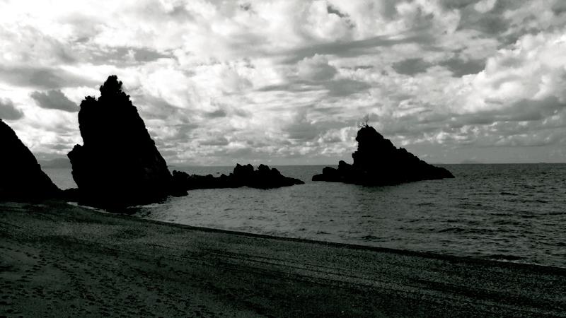 Immaginescoglio dell ulivo.JPG1.JPG