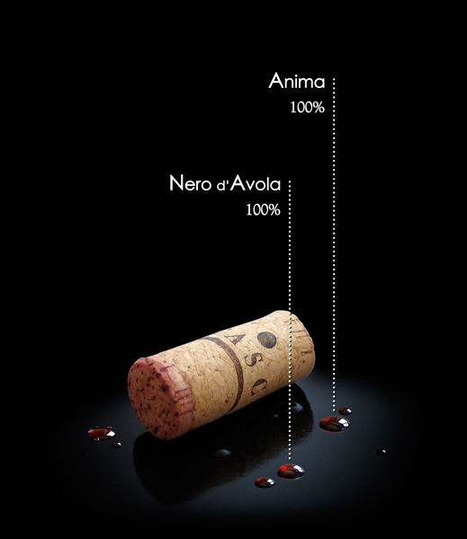 impaginato-TAPPO.jpg